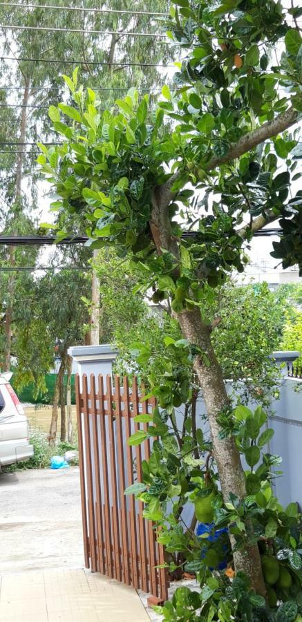 Lucky 190 Guest House เจิวด๊ก ภายนอก รูปภาพ